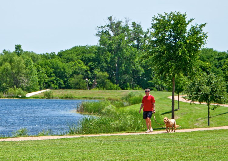 Falcon Pointe community