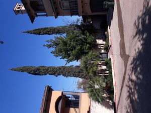 Villas Community Photo